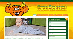 Desktop Screenshot of carpetcleanerswilmington.com